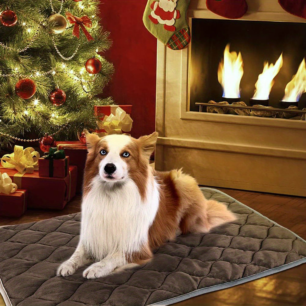 Dog Cat Bed, Cat Dog Non-Slip Mat, Extra Warm Thermal Pet Pad -  Pet House