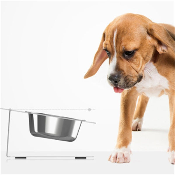 Anti-falling Cat Dog Feeding Water Bowl -  Pet House