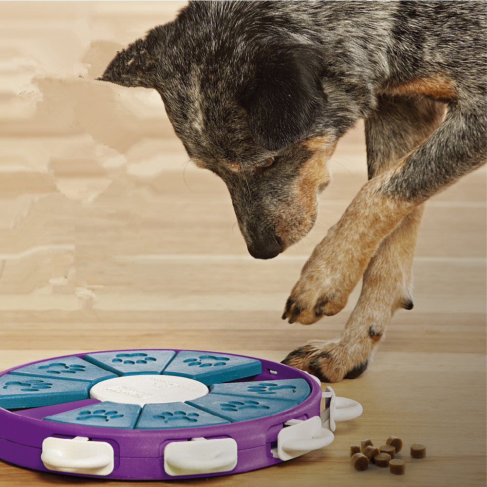 Dog educational toys -  Pet House