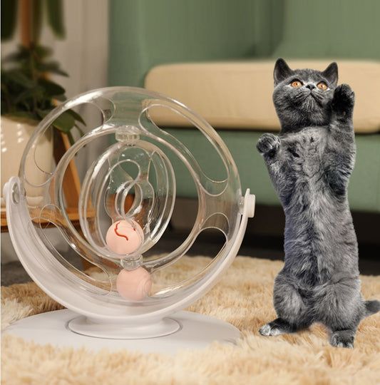 Cat turntable educational toys -  Pet House