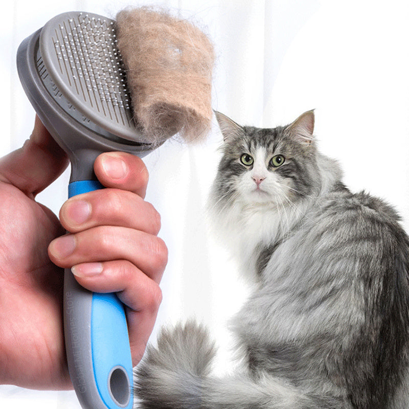 Pet steel needle brush -  Pet House