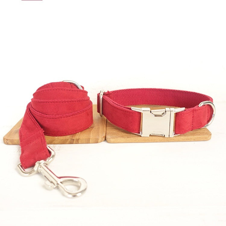 Pet Traction Collar Dog Collar -  Pet House