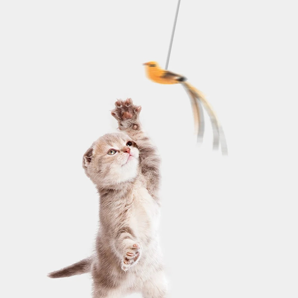 Automatic Lifting Motion Cat Toy Artificial Bird Interactive Puzzle Pet Cat Teaser Feather Chewing Lifting Toys Cat Supplies -  Pet House