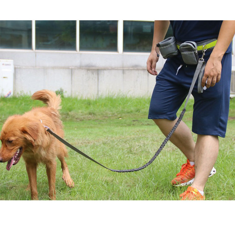 Adjustable Hands Free Dog Leash -  Pet House