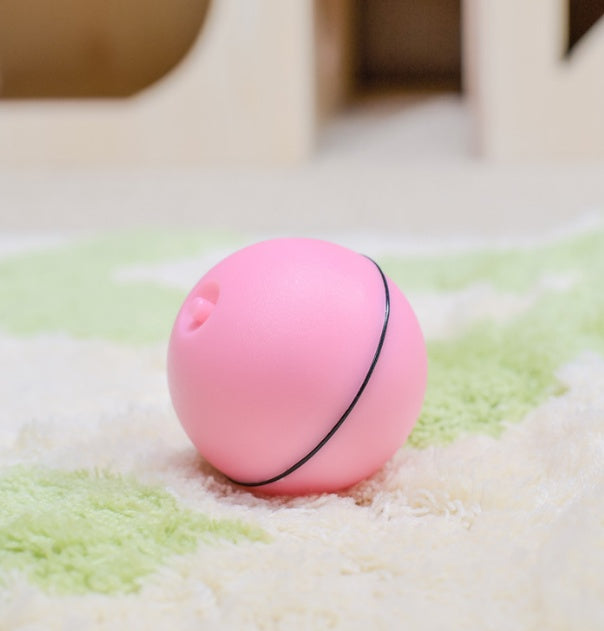 LED Laser Electronic Rolling Pet Funny Cat Toy Ball -  Pet House