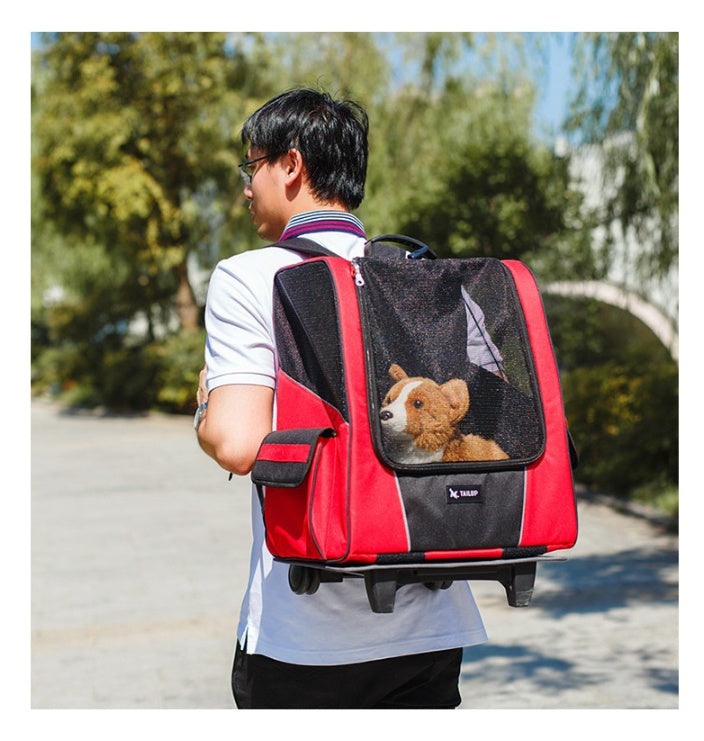 Small Pet Wheel Carrier Dog Cat Portable Strollers Backpack -  Pet House