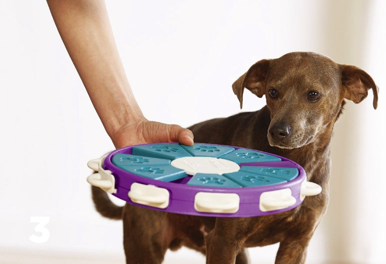 Dog educational toys -  Pet House