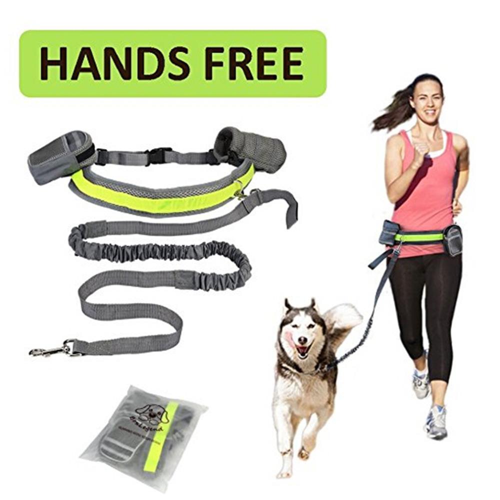 Adjustable Hands Free Dog Leash -  Pet House