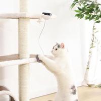 Pet Cat Toy Electronic Motion Cat Toy Interactive -  Pet House