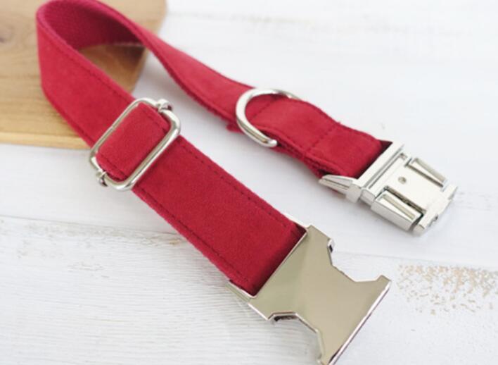 Pet Traction Collar Dog Collar -  Pet House