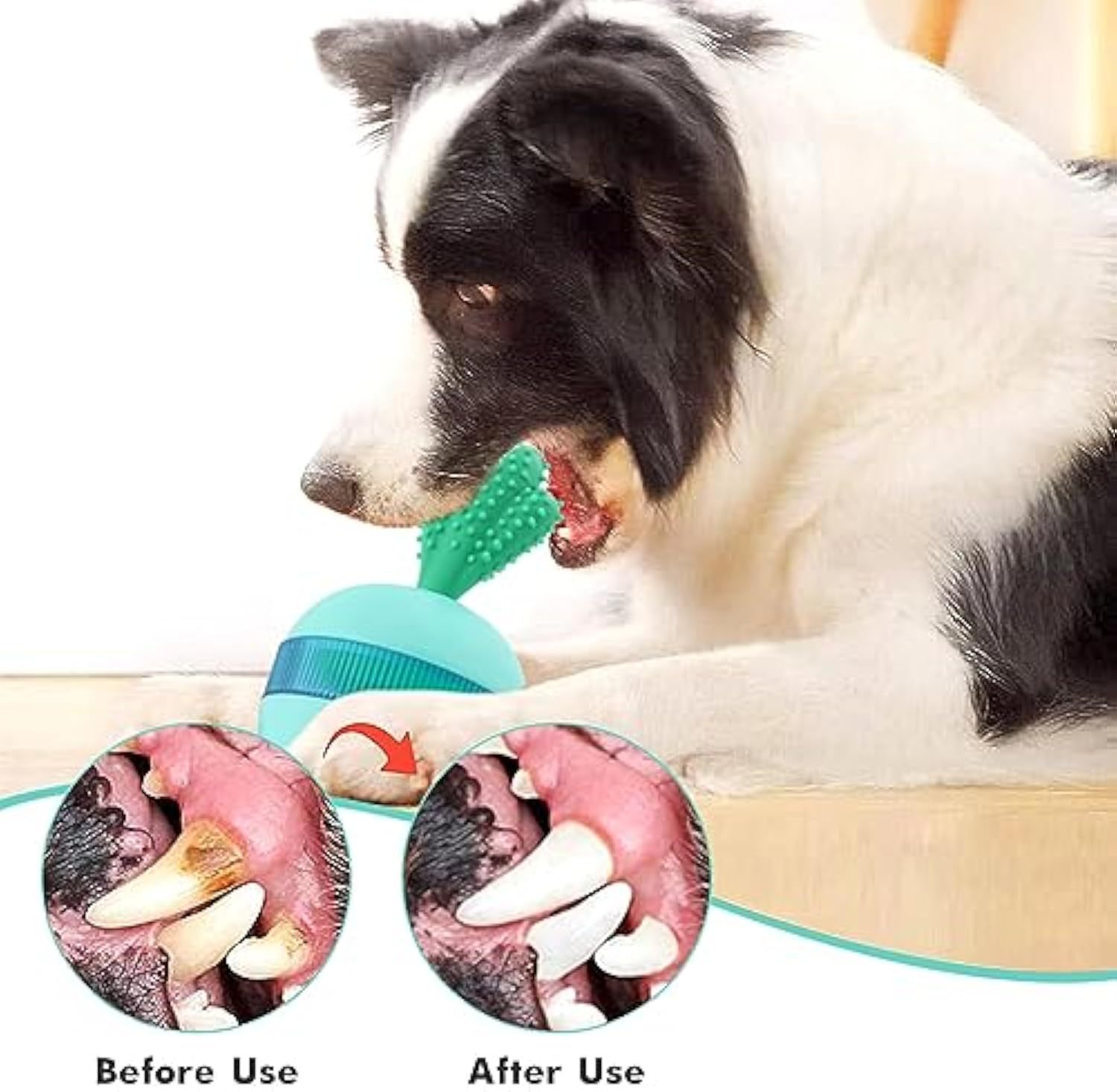 Interactive Treat Dispensing Dog Toys -  Pet House