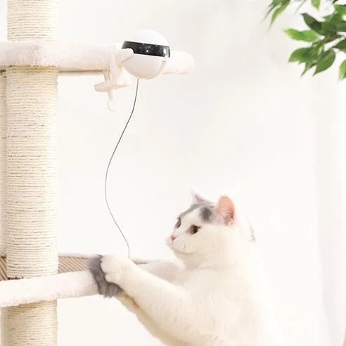 Pet Cat Toy Electronic Motion Cat Toy Interactive -  Pet House