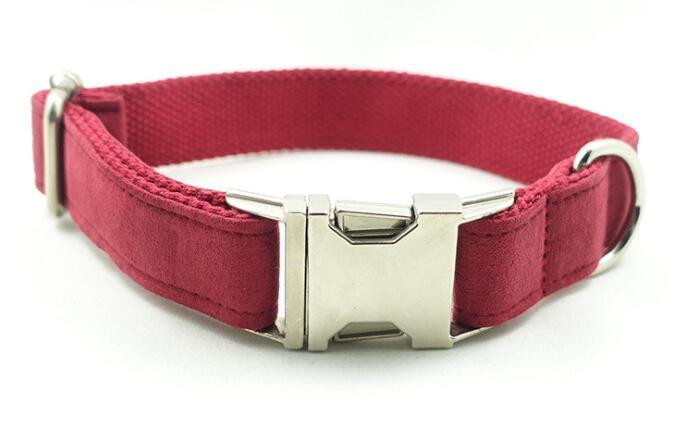 Pet Traction Collar Dog Collar -  Pet House