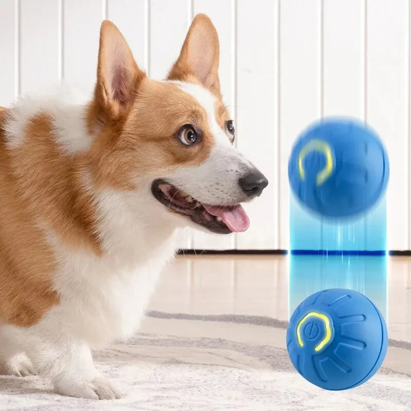 Dog Chew Toy Ball -  Pet House