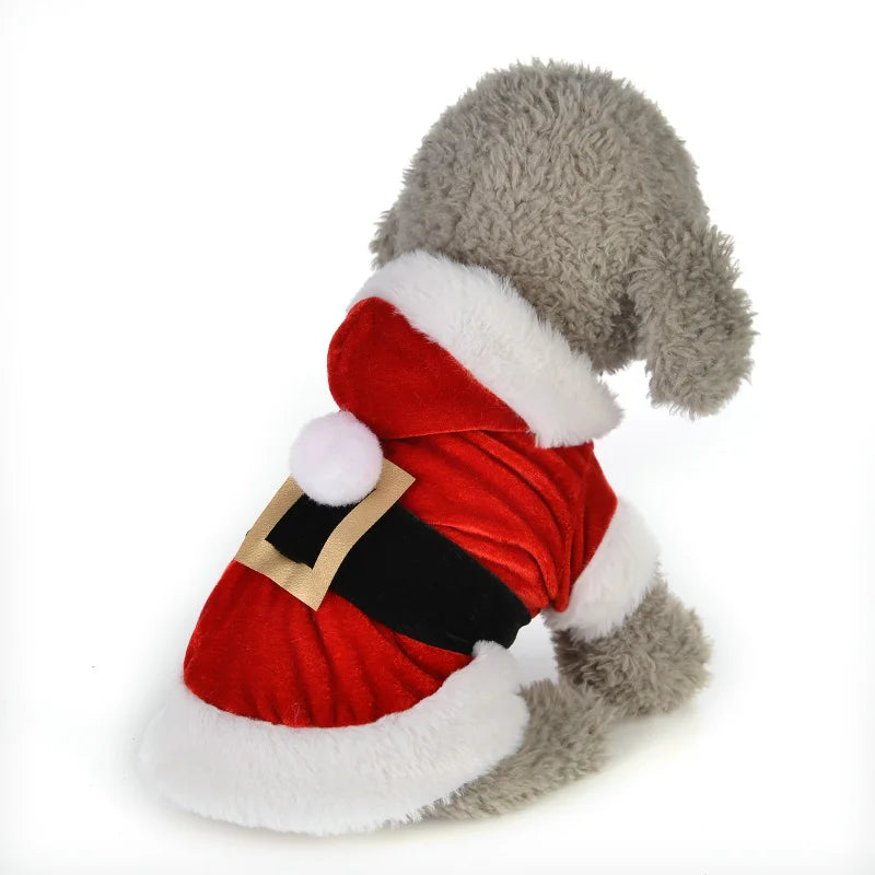 Santa Christmas Costume -  Pet House