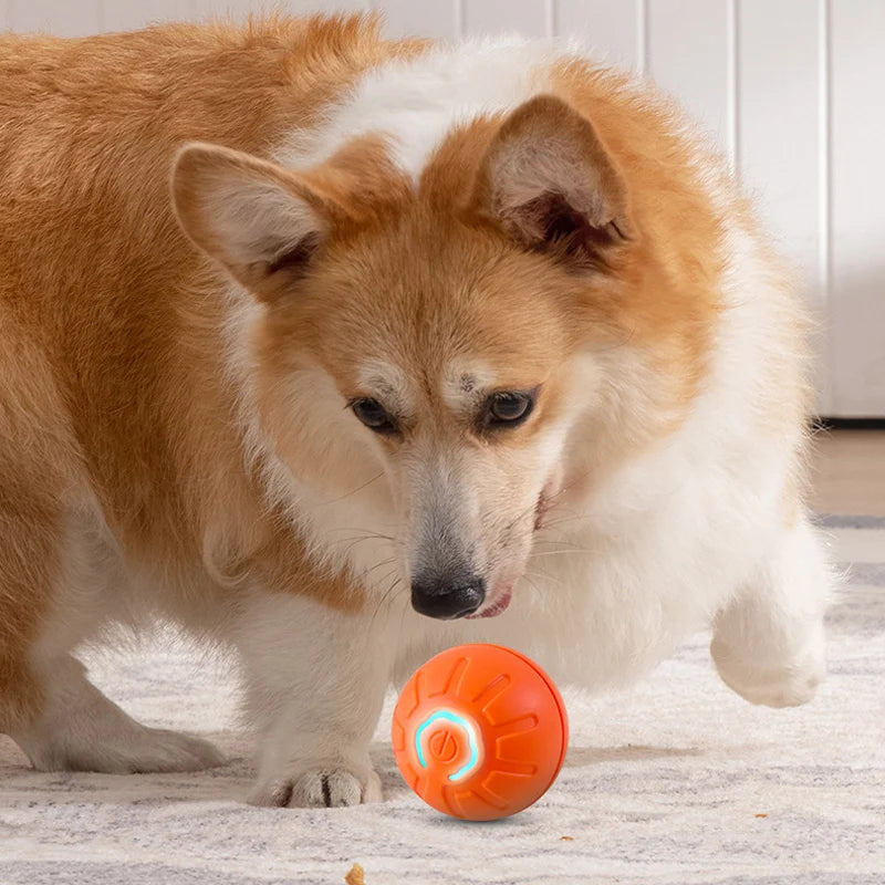 Dog Chew Toy Ball -  Pet House