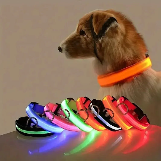 Nylon LED Night Safety Dog Collar -  Pet House