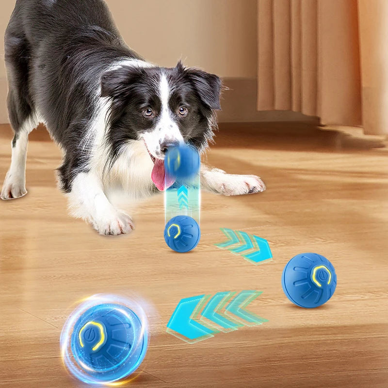 Dog Chew Toy Ball -  Pet House