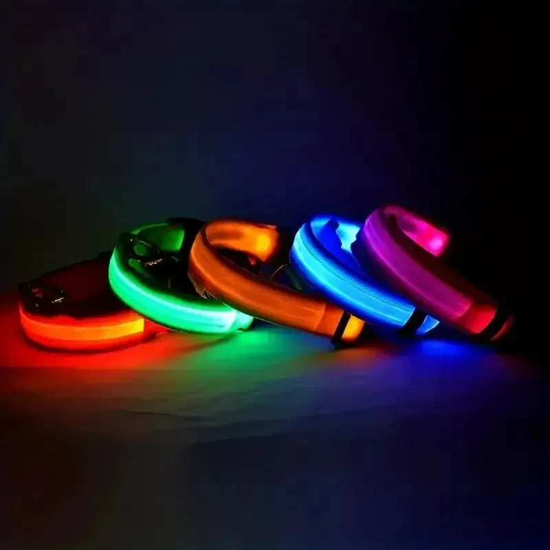 Nylon LED Night Safety Dog Collar -  Pet House