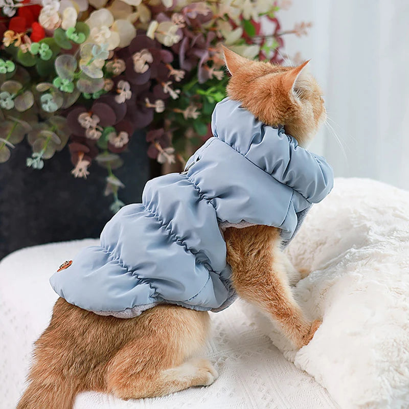 Padded Puppy & Cat Clothes -  Pet House