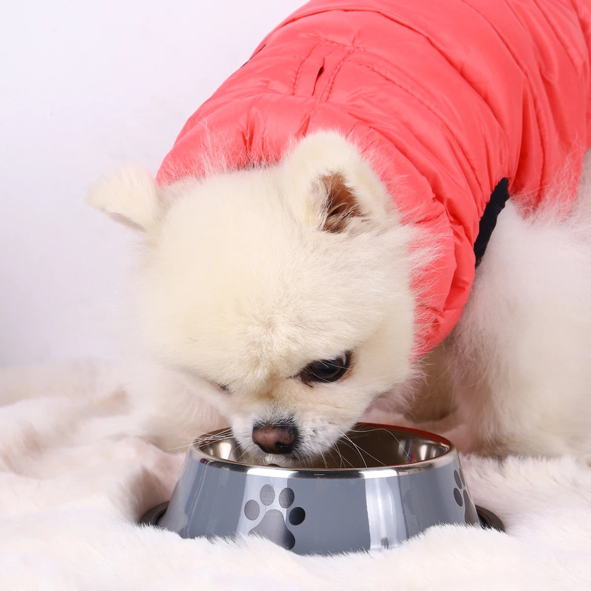 Stainless Steel Pet Bowl -  Pet House