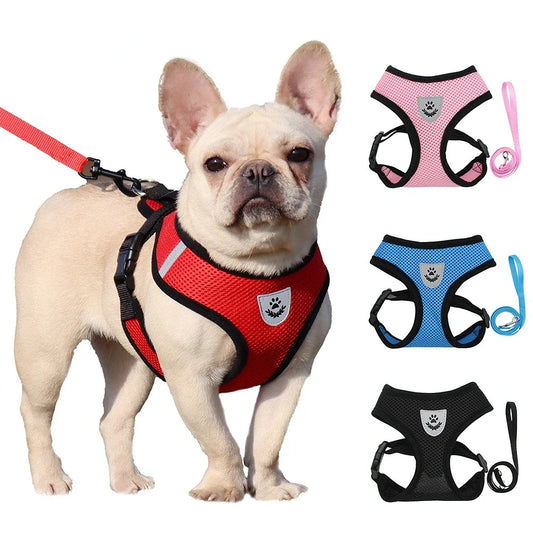 Cat Dog Harness Lead Leash Adjustable Vest -  Pet House