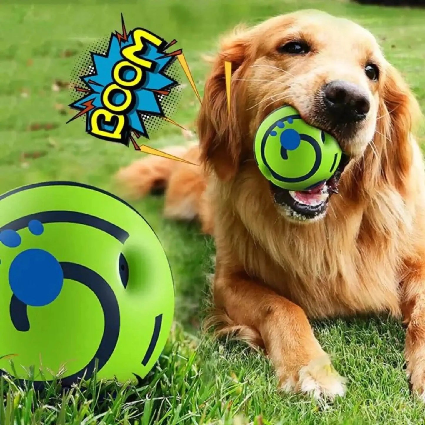 Dog ball with Giggle Sounds -  Pet House