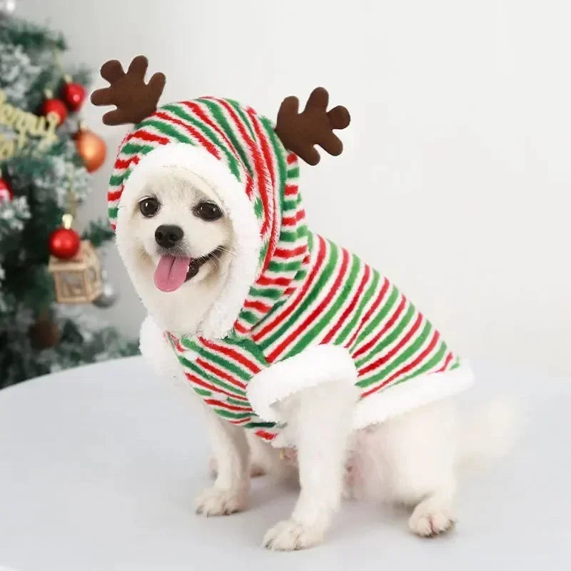 Christmas vest -  Pet House