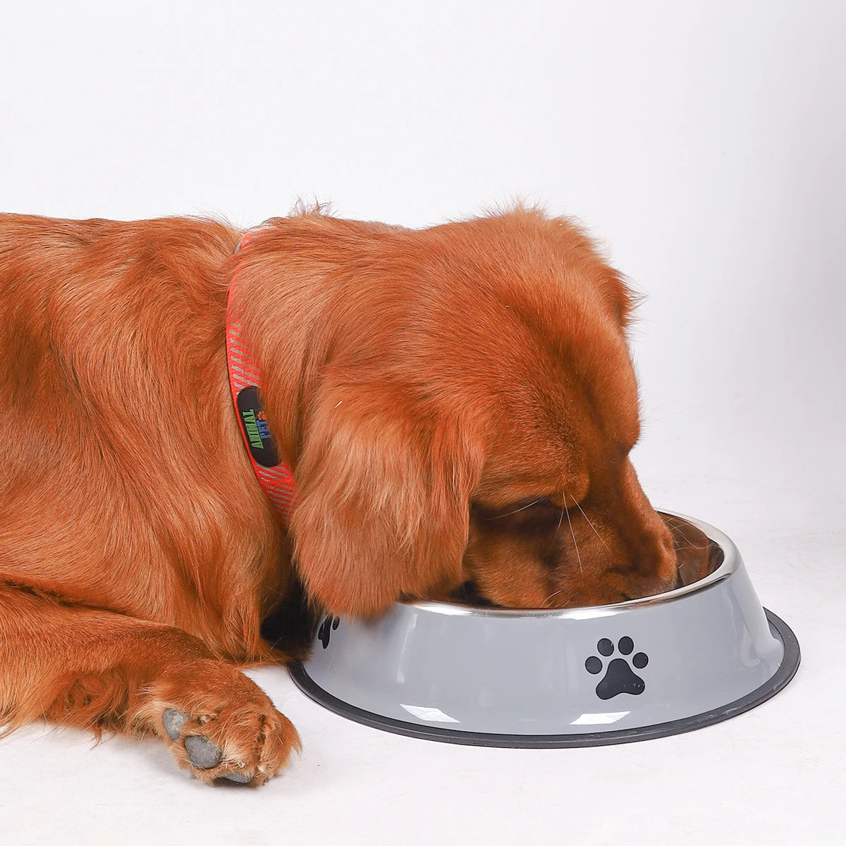 Stainless Steel Pet Bowl -  Pet House