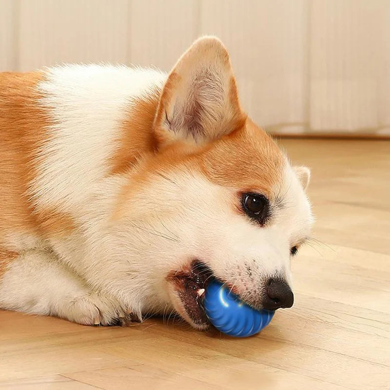 Dog Chew Toy Ball -  Pet House