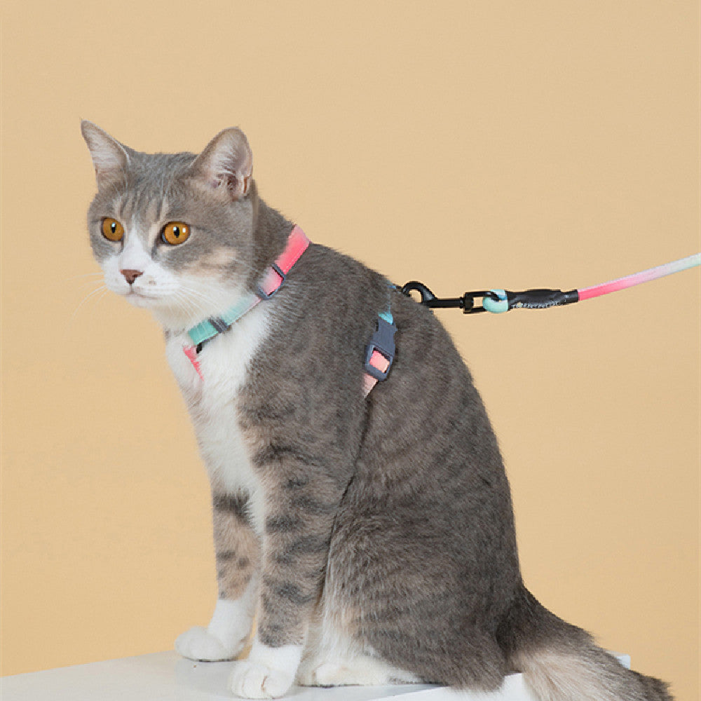 Pet Anti Breakaway Traction Rope -  Pet House