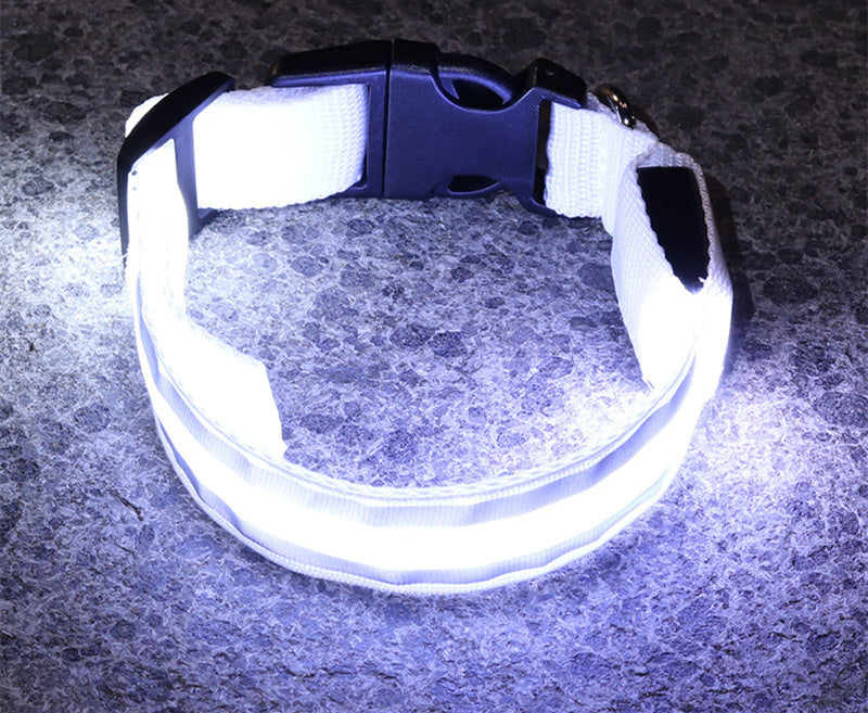 Anti-lost Led Luminous Dog Collar Pet Supplies -  Pet House