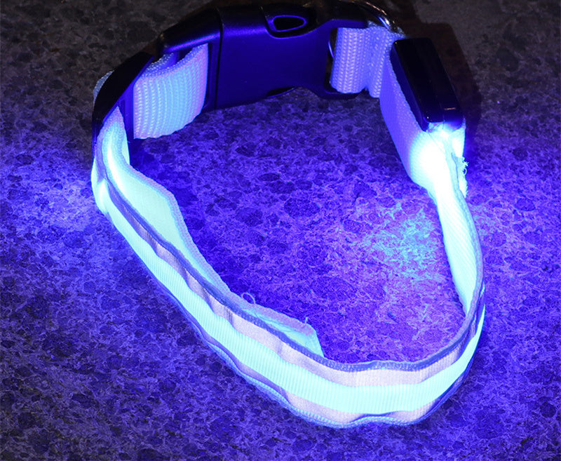 Anti-lost Led Luminous Dog Collar Pet Supplies -  Pet House