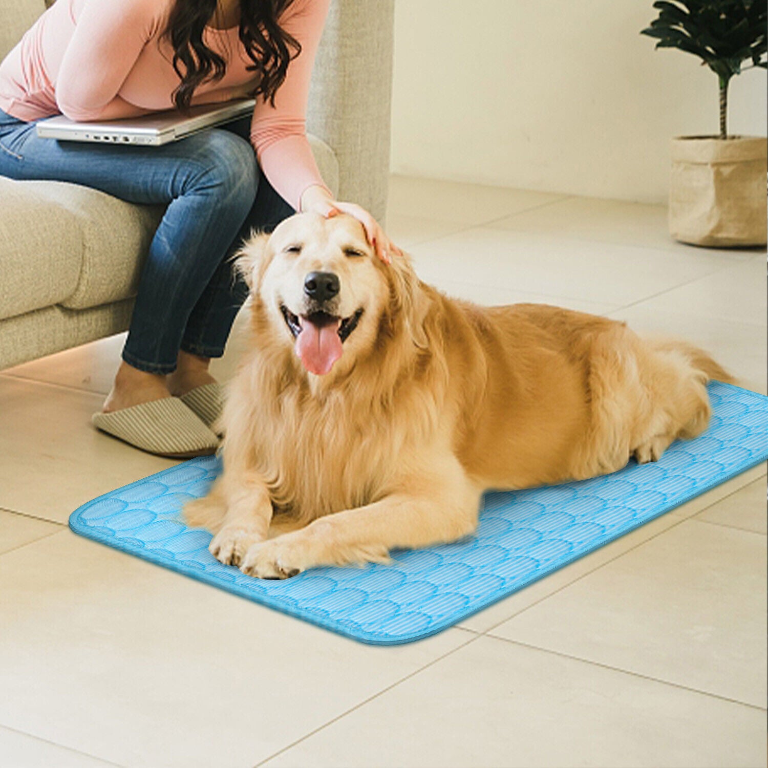 Pet Cooling Mat Cool Pad Cushion Dog Cat Puppy Blanket For Summer Sleeping Bed -  Pet House