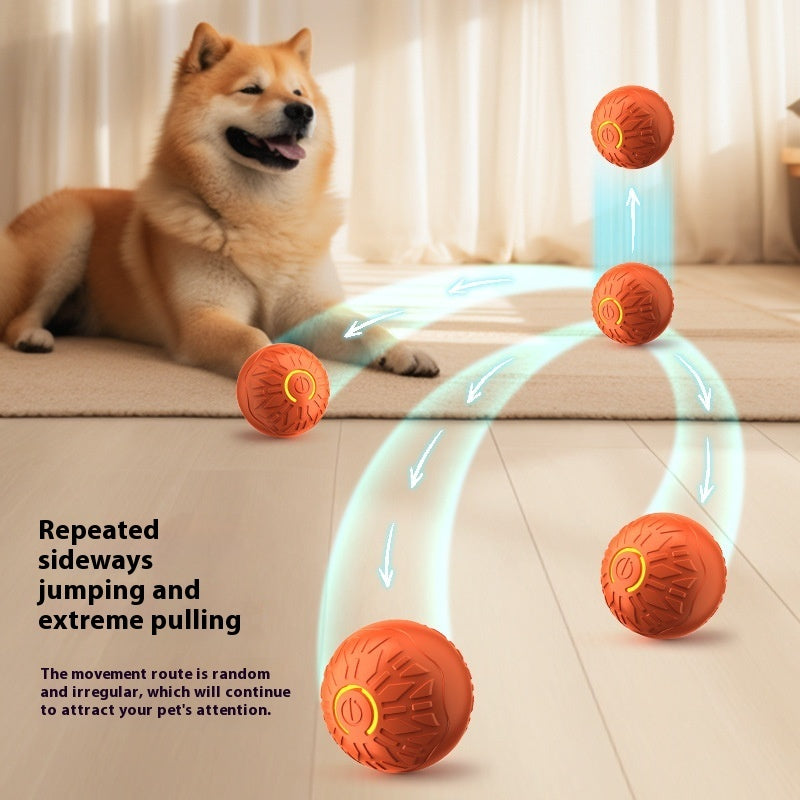 Pets Electric Jumping Ball Automatic Dog-teasing Luminous Pet Products -  Pet House