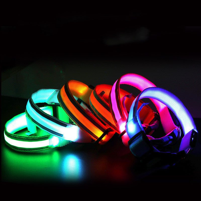 Anti-lost Led Luminous Dog Collar Pet Supplies -  Pet House