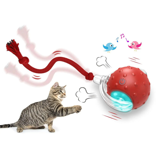 Interactive Cat Toy Ball Super Drive Cat Rolling Balls With Bird Chirping Motion Activated Sensor -  Pet House